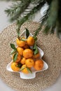 Small ripe tangerines with leaves, on plate in shape of Christmas tree on wicker serving napkin. Concept winter vitamin food.
