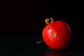 A small ripe tomato with worm infestation and wormholes lies in front of a dark background on a dark surface