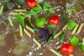 Small ripe tomatoes, fresh basil ,pasta top view Royalty Free Stock Photo