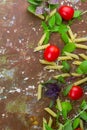 Small ripe tomatoes, fresh basil ,pasta top view Royalty Free Stock Photo