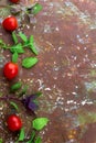Small ripe tomatoes, fresh basil ,pasta top view Royalty Free Stock Photo