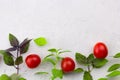 Small ripe tomatoes, fresh basil top view Royalty Free Stock Photo