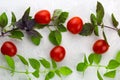 small ripe tomatoes, fresh basil top view Royalty Free Stock Photo