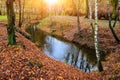 Small river in autumn forest