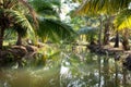 Small river in deep tropical rain forest Royalty Free Stock Photo