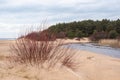Small river delta among sandy dunes by Baltic sea Royalty Free Stock Photo