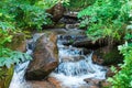 A small river in a dense green forest creates a small waterfall Royalty Free Stock Photo