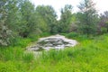 Small river with duckweed and reeds Royalty Free Stock Photo