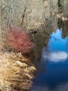 A small river in early spring, blue skies and reflections in the water Royalty Free Stock Photo