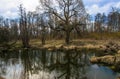 A small river in early spring.picturesque landscape near Moscow Royalty Free Stock Photo