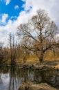 A small river in early spring.picturesque landscape near Moscow Royalty Free Stock Photo