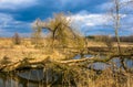 A small river in early spring.picturesque landscape near Moscow Royalty Free Stock Photo