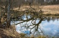 A small river in early spring.picturesque landscape near Moscow Royalty Free Stock Photo