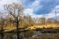 A small river in early spring.picturesque landscape near Moscow Royalty Free Stock Photo