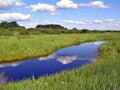 Small river on field Royalty Free Stock Photo