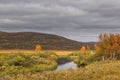 Small river at the Finnmark plateau