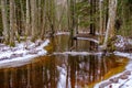 A small river after flood caused by winter snow melting in early spring, grass is washed away and trees have bare Royalty Free Stock Photo