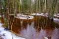 A small river after flood caused by winter snow melting in early spring, grass is washed away and trees have bare Royalty Free Stock Photo