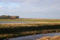 Small river, flooded fields, sheep in countryside