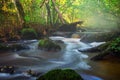 Small river flow in forest Royalty Free Stock Photo
