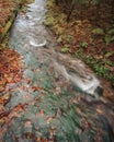 Small river flowing in a forest during the daytime in the fall Royalty Free Stock Photo