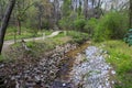 A small river flowing over rocks in the park surrounded by lush green trees, grass and plants at Murphey Candler Park