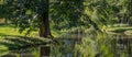 A small river flowing through the park. Large old trees reflecting in the water. Royalty Free Stock Photo
