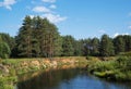 Small river flows in a pine forest - tranquil summer landscape in Tver region of Russia