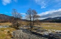 Small river flows between two trees - winter mountain landscape Royalty Free Stock Photo