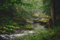 A small river with foggy scenery