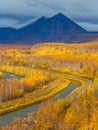 Small river, forest in autumn , Kamchatka, Russia. Royalty Free Stock Photo