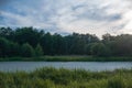 small river in the forest. A small river in the countryside. Stream in the field