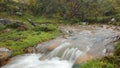 Small river in a forest of Polylepis located in the moor of the Ecological Reserve Los Ilinizas