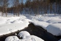 Small river in a forest with snow in winter Royalty Free Stock Photo