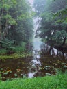 Small river in a forest town park in a fog. Mistry surreal calm mood. Relaxing atmosphere and melancholic nature vibe. Nobody Royalty Free Stock Photo