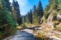 Small River Among Forest in Uludag National Park Royalty Free Stock Photo