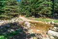 Small River Among Forest in Uludag National Park Royalty Free Stock Photo