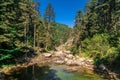 Small River Among Forest in Uludag National Park Royalty Free Stock Photo