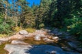 Small River Among Forest in Uludag National Park Royalty Free Stock Photo