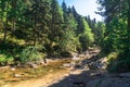 Small River Among Forest in Uludag National Park Royalty Free Stock Photo