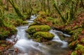 Small river in Fragas do Eume