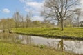 a small river in a grassy field with trees Royalty Free Stock Photo