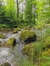 small river in spring czech forest Royalty Free Stock Photo