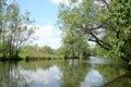 Small river with green trees along shores