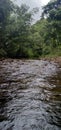 The small river inside the jungle of rainforest.