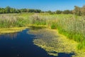 Small river Kolomak and nearest meadow at summer season, Ukraine Royalty Free Stock Photo