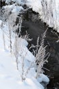 Winter in Finland: River and Hoarfrost Plants Royalty Free Stock Photo