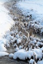 Winter in Finland: Frozen River with Dead Herbaceous Plants Royalty Free Stock Photo