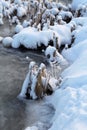 Winter in Finland: Frozen River with Dead Herbaceous Plants Royalty Free Stock Photo