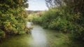 A small river on a meadow near kiev, with grassy banks overgrown with grass, and duckweed on the water Royalty Free Stock Photo